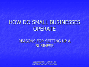 3. Reasons for setting up a business