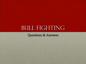 Bull Fighting Study Guide Power Point