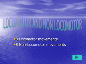 Locomotor vs. Non-Locomotor Movements: Grade 2 PE