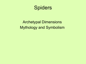 Spiders - Janecicchetti.com