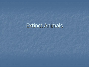 Extinct Animals - PBworks