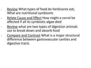 Animal Feeding and Digestion: A Biology Overview