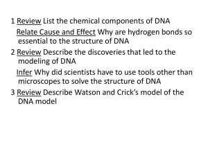 DNA Structure: Watson & Crick Model Presentation