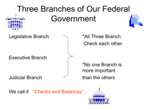 Three Branches of US Government: Checks & Balances