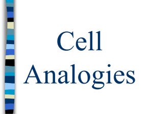 Cell Analogy: Understanding Cell Parts with Real-World Examples