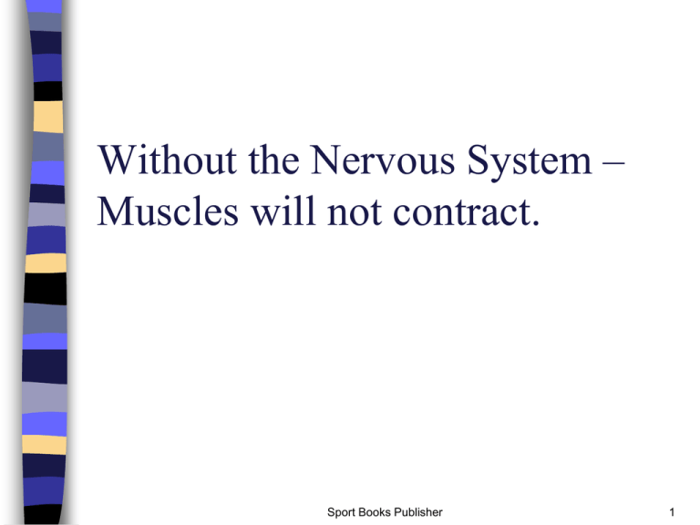 muscles all or none principle muscles all or none principle