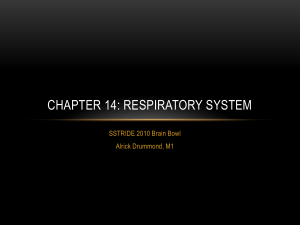 Respiratory System: Functions, Anatomy, and Lung Capacity