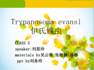Trypanosoma evansi: Surra Disease Presentation