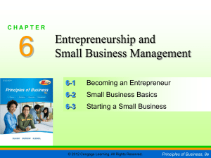 Chapter 6 - Entrepreneurship and Small Business Management