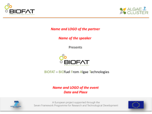 View the presentation