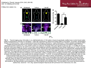 FIG. 6.â€ƒ Thyroid imaging using 124I