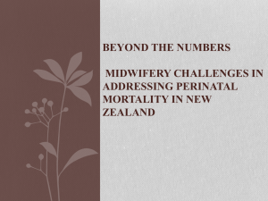 Beyond the numbers: Midwifery challenges in addressing perinatal