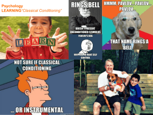 File - Coach Wilkinson`s AP Euro Site