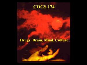 Alcohol - UCSD Cognitive Science