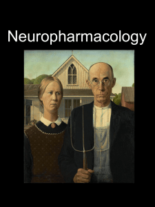 Neurotransmitter systems