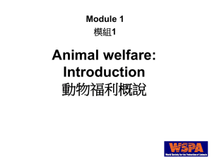 Animal Welfare