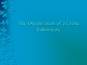 The Organization of a Crime Laboratory
