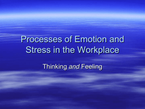 Processes of Emotion and Stress in the Workplace