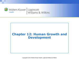 Human Growth & Development: Reproductive Systems & Theories