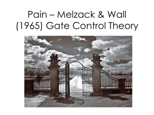 Gate Control Theory of Pain: Melzack & Wall (1965)