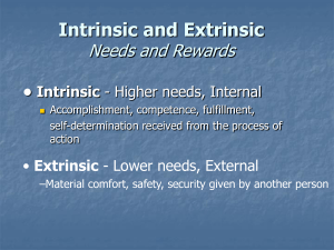 Intrinsic and Extrinsic Needs and Rewards