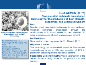 ECO-CEMENT(FP7) New microbial carbonate precipitation