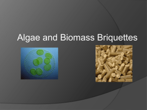 Algae & Biomass Briquettes: Alternative Energy Sources