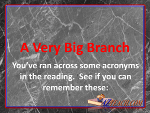 A Very Big Branch