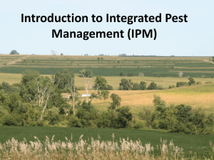 Integrated Pest Management in the 21st Century