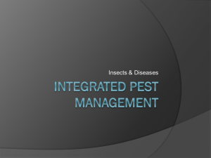 Integrated Pest management in the greenhouse