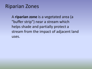 Riparian Zones: Benefits, Plants, and Management