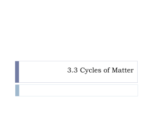 Cycles of Matter: Water, Carbon, Nitrogen, Phosphorus