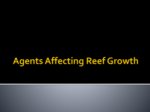 Agents affecting Reefs Growth
