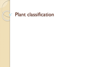 Plant classification