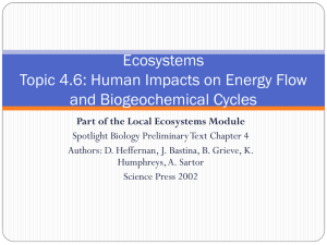 Ecosystems Topic 4: Trophic Levels