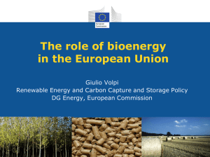 (ppt file, 4 MB) Giulio Volpi, Policy Officer