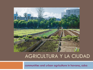 Urban Agriculture in Havana: A Case Study