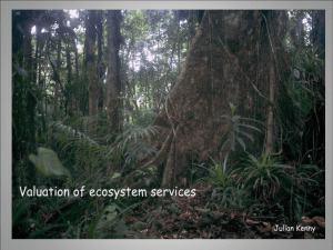ECOSYSTEM SERVICES SERVICE