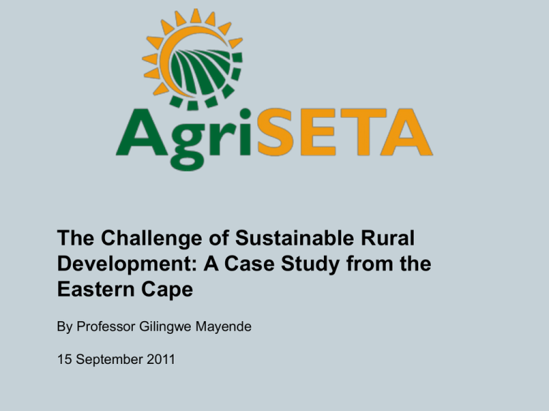 a term paper on rural development