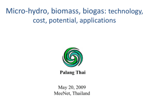 Palang Thai - Probe International