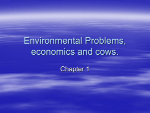Environmental Problems