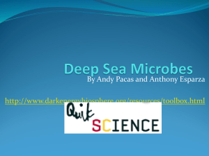 Deep Sea Microbes 9t..