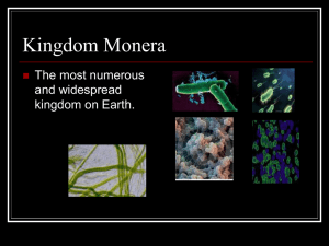 Kingdom Monera: Bacteria, Archaea & Extremophiles