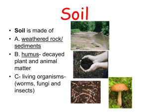 Soil Composition, Horizons, and Formation Factors