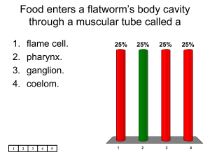 Flatworms, Roundworms, Annelids Quiz | Zoology Test