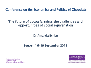 The future of cocoa farming