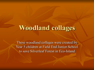 Woodland collages