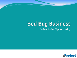 What is the Opportunity
