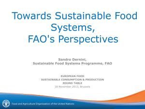 Presentation made by Sandro Dernini