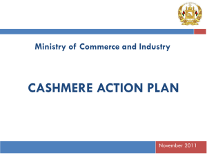 sme strategy & sector action plans